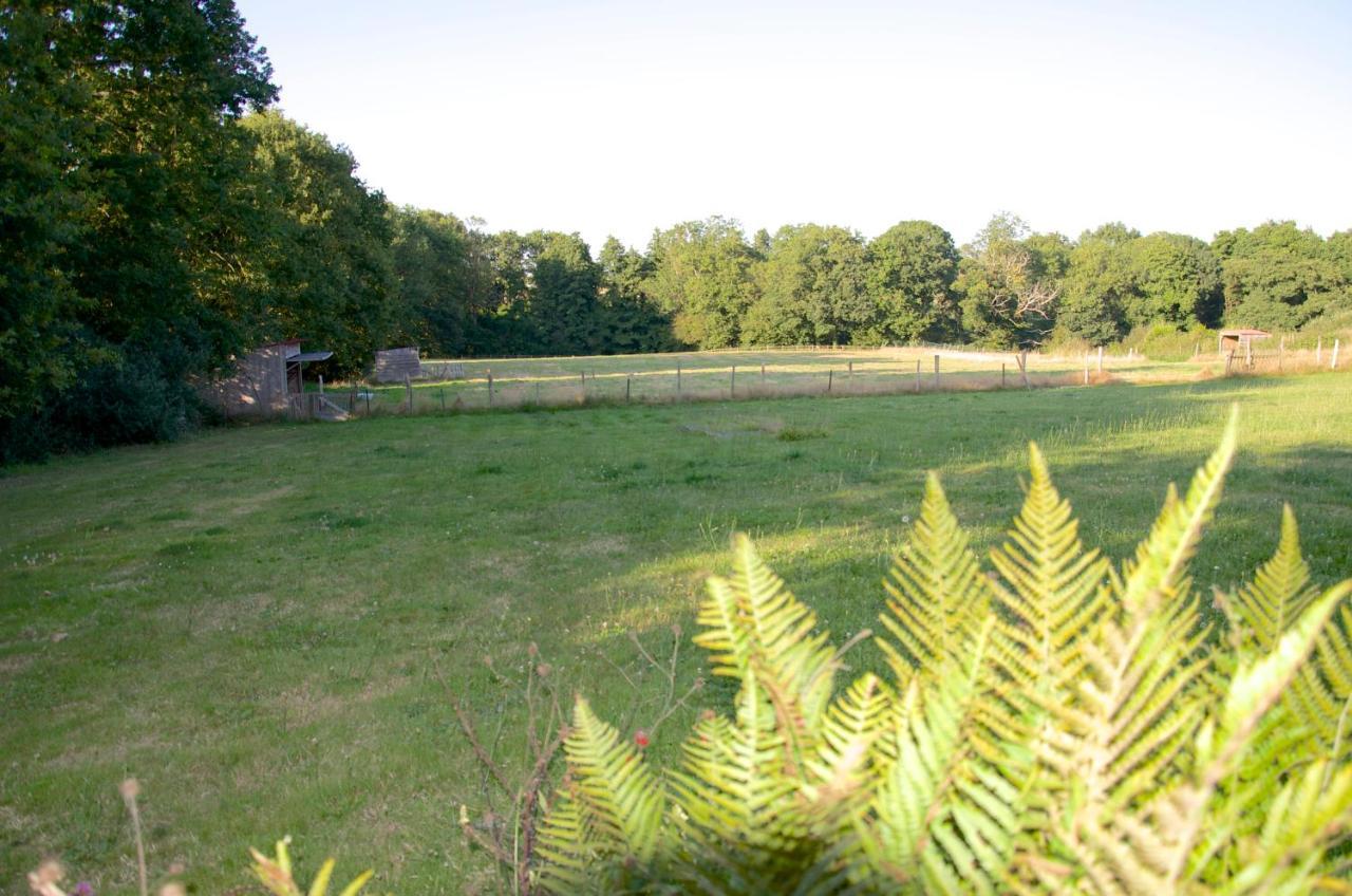 Gite Le Champ Libre Dompierre-Sur-Yon Exterior foto