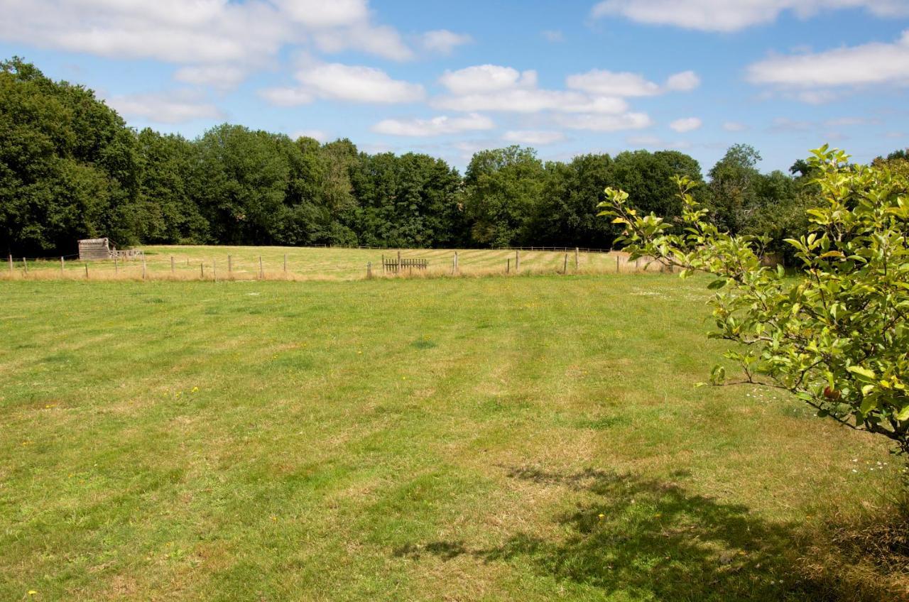 Gite Le Champ Libre Dompierre-Sur-Yon Exterior foto